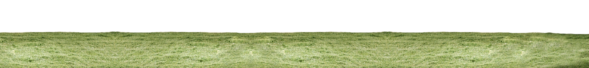 Grass